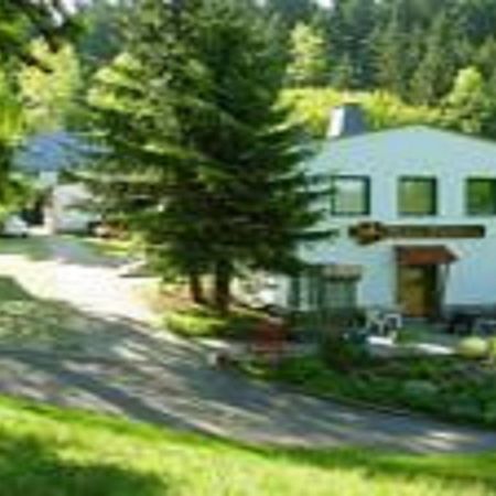 Pension Waldidyll Stutzerbach Luaran gambar